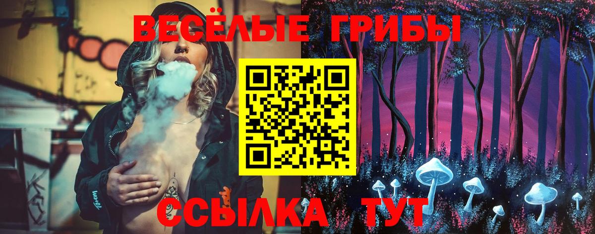 Псилоцибиновые грибы Cubensis  Вход с VPN  Серпухов 